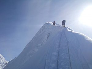 18485430_1225722554203367_6426158685851941271_n