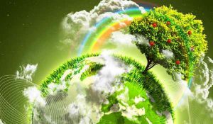 Ziua_Mondiala_a_Mediului