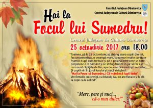 22790289_884262045065051_1336076120_o