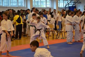 cupa karate1