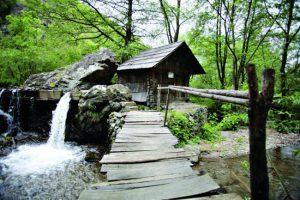 eftimie-murgu-satul-morilor-de-apa-18548283