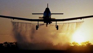 aviotratament-avion-dezinsectie