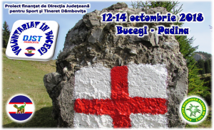 42850458_242158486424845_8637092916298252288_n