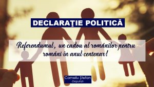 Declaratie politica - Corneliu Stefan