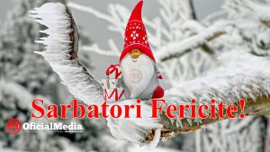 47576229_2176606462562313_8688069638321340416_n