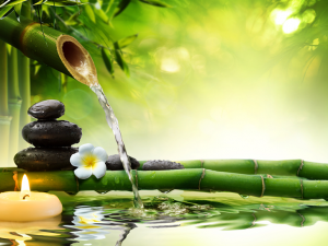 Feng-Shui-certified-villa