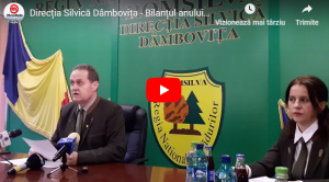 directia silvica