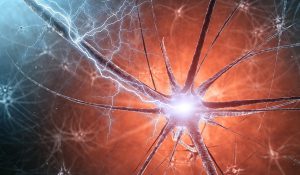 neuron-impuls-electric