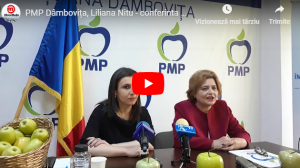 pmp -liliana nitu-ioana constantin