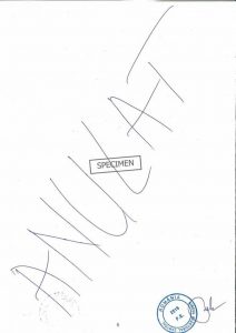 OGE5YmY0YTQzNzY5ZWQ3ZDM4Mjk5ODJhZjEx.thumb