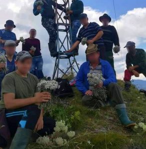 67762346_2392179217729385_5519730340609916928_n