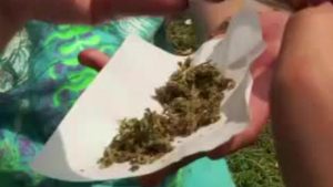 28911775001_6029109340001_6029108882001-vs