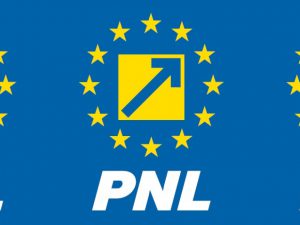 pnl