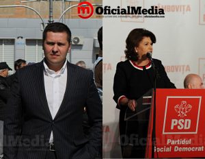 corneliu stefan vs rovana plumb