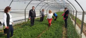 92723439_3671623252909056_2936354679396761600_o