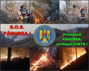 SOS Padurea-apr.2020 (1)