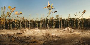 2d2a00a28f57ff900c3fa179a6ac1023_XL