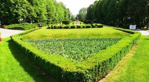 97927991_3285575234810604_7282626167201333248_o