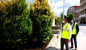 99423791_1613059645524179_5954155841534820352_o