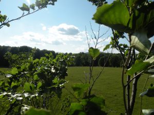 cabana 14 iunie 2009 130