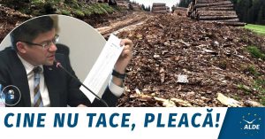 109939380_3411820275504174_2143841589314812546_o