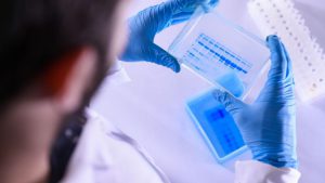 NDAmaGFzaD0yZDBiOWE0NDY1NWRmMjk1YTc1ZTg4Mjc5NWY5MmY4Mw==.thumb