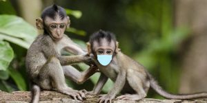 corona-5032904_960_720