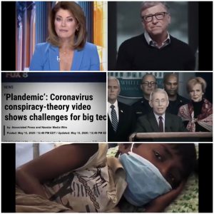 118359106_731920680988061_1922082539023483517_n