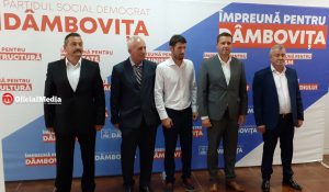 corneliu stefan - primari