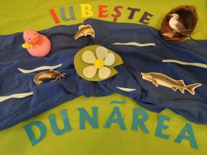 Dunarea_Iarina din Timisoara