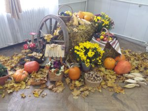 15060343_1808357019425741_1905460570_o