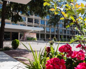 fotofrontoncusilanoua