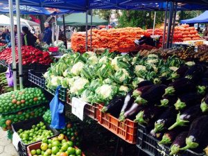 124401375_1757219997761174_5281339260064626597_n