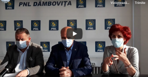 pnl dambovita - conferinta 28 noiembrie