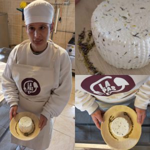 3a286ff4-606f-4078-b5fc-95660beb1e79