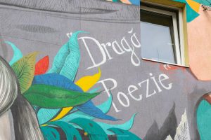 6c2eff7a-ad7e-49ab-91fa-0a6f03fc450f