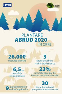 Infografic-Plantare-Abrud