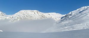 137320657_1498006150393027_8789535348145529909_o