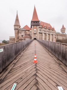 141733266_686841748654262_1528410617349269667_o