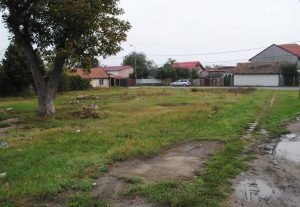 149743722_697091080962662_8843609358869073437_o