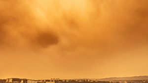 NDQwJmhhc2g9NGE4MTM2ZWNjMjE3MDkwZjRmZWQ4NGEzY2EwZDkxMzY=.thumb