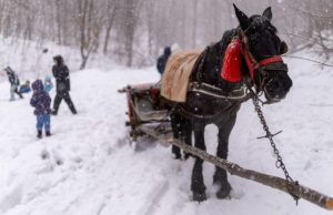 11.-plimbare-sania-margina