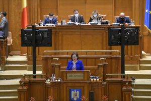 carmen holban deputat psd dambovita 1