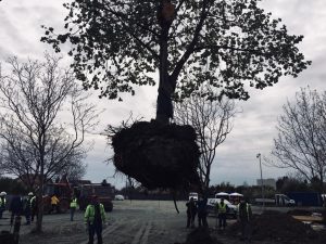 55070a37-4985-444c-8c69-fa3ef2bbf03c