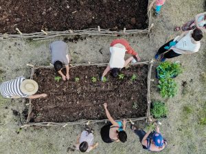 created by dji camera