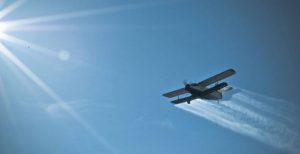 aviopn-dezinsectie-700x360