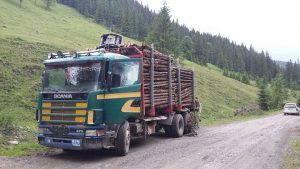 camion-cu-lemne