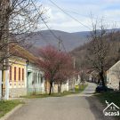 color the village 2021