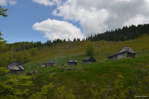 197633022_6747127481980062_185976902954198852_n