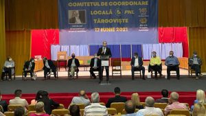 aurelian cotinescu alegeri interne pnl